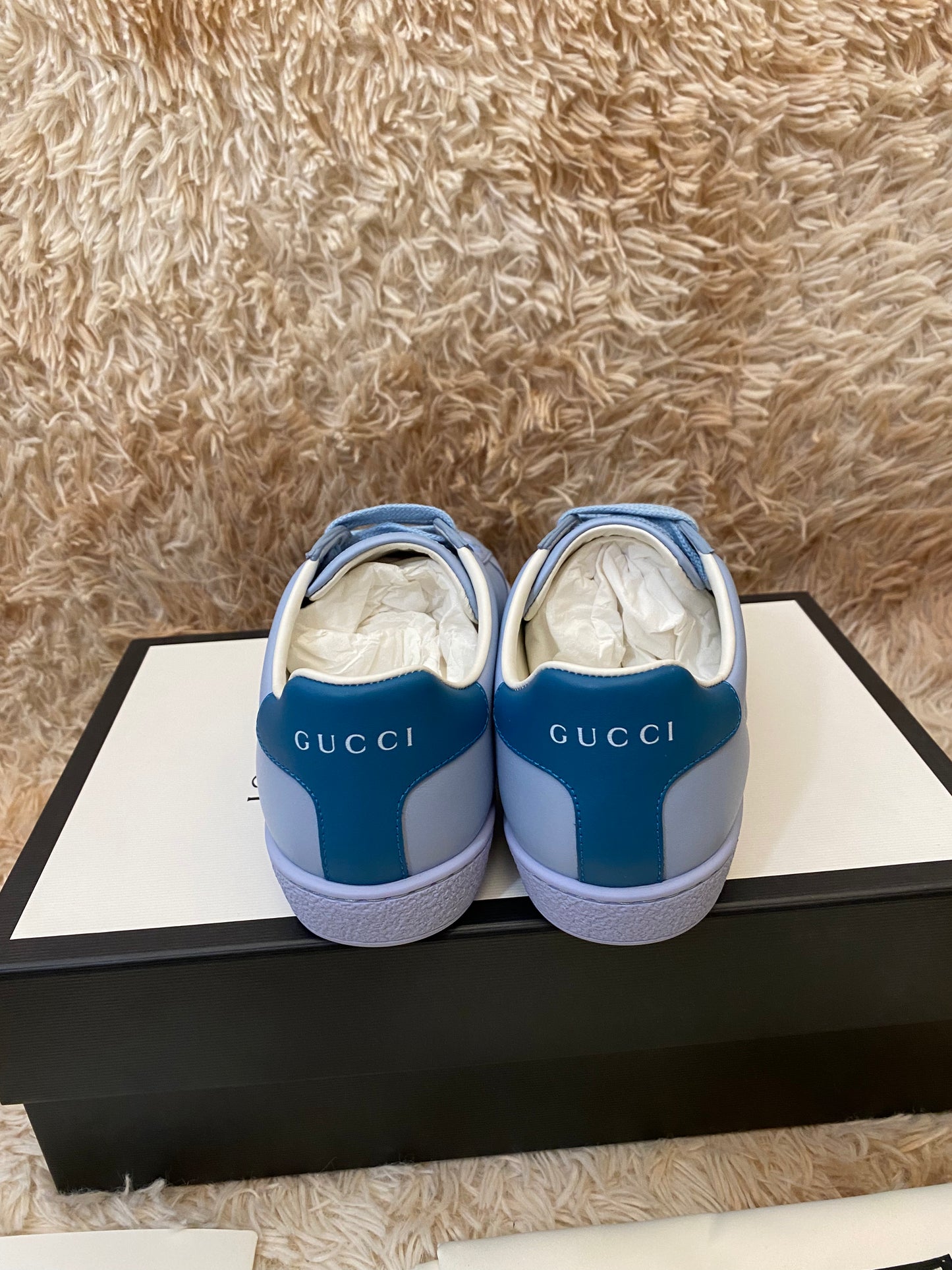 GUCCI ACE