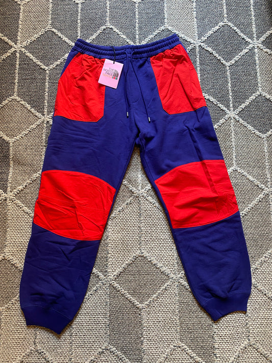 GUCCI X TNF JOGGERS